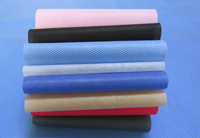 山海关涤纶（PET）无纺布是什么